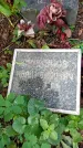 Захоронение ID 1276071