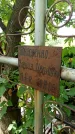 Захоронение ID 1276107