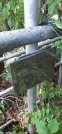 Захоронение ID 1276122