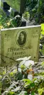 Захоронение ID 1276178