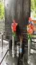 Захоронение ID 1276215