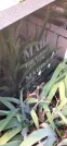 Захоронение ID 1276230