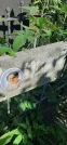 Захоронение ID 1276320