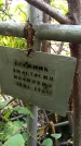 Захоронение ID 1276327