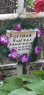 Захоронение ID 1276338