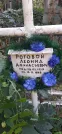 Захоронение ID 1276340