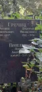 Захоронение ID 1276352