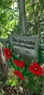 Захоронение ID 1276374