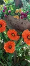 Захоронение ID 1276376