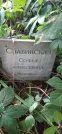 Захоронение ID 1276402