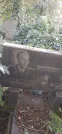 Захоронение ID 1276422