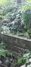 Захоронение ID 1276423