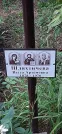 Захоронение ID 1276556