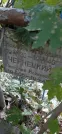 Захоронение ID 1276638
