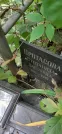 Захоронение ID 1276820