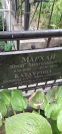 Захоронение ID 1276866