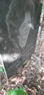 Захоронение ID 1276919
