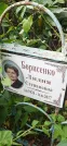 Захоронение ID 1277118