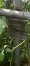Захоронение ID 1277168