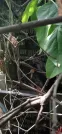Захоронение ID 1277171