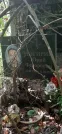 Захоронение ID 1277172