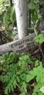 Захоронение ID 1277214