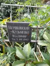 Захоронение ID 1277276