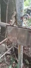 Захоронение ID 1277296