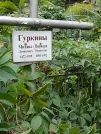 Захоронение ID 1277326