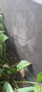 Захоронение ID 1277328