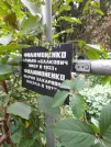 Захоронение ID 1277330