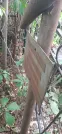 Захоронение ID 1277331