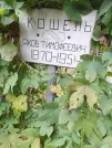 Захоронение ID 1277349