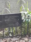 Захоронение ID 1277357