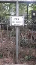 Захоронение ID 1277382