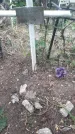 Захоронение ID 1277397