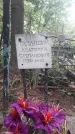 Захоронение ID 1277413