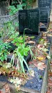Захоронение ID 1277533