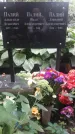 Захоронение ID 1277541