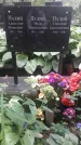 Захоронение ID 1277546