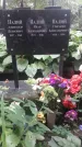 Захоронение ID 1277550