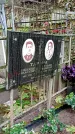 Захоронение ID 1277565