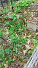 Захоронение ID 1277594