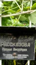 Захоронение ID 1277663