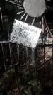 Захоронение ID 1277700