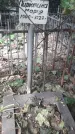 Захоронение ID 1277703