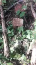 Захоронение ID 1277711