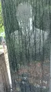 Захоронение ID 1277704