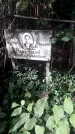 Захоронение ID 1277746