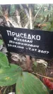 Захоронение ID 1277758